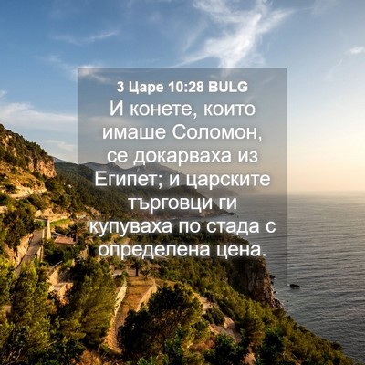 Picture 04 - 3 Царе 10:28 BULG - И конете, които имаше - Bible Verse Picture