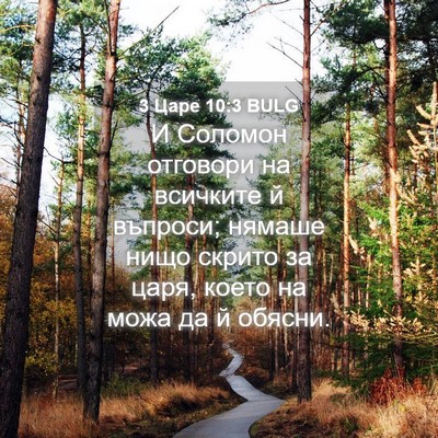 Picture 04 - 3 Царе 10:3 BULG - И Соломон отговори на - Bible Verse Picture