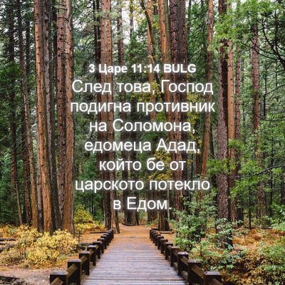 Picture 04 - 3 Царе 11:14 BULG - След това, Господ подигна - Bible Verse Picture