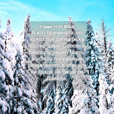 Picture 04 - 3 Царе 11:27 BULG - А ето причината, по която - Bible Verse Picture