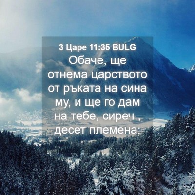 Picture 04 - 3 Царе 11:35 BULG - Обаче, ще отнема царството - Bible Verse Picture