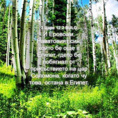 Picture 04 - 3 Царе 12:2 BULG - И Еровоам, Наватовият син, - Bible Verse Picture