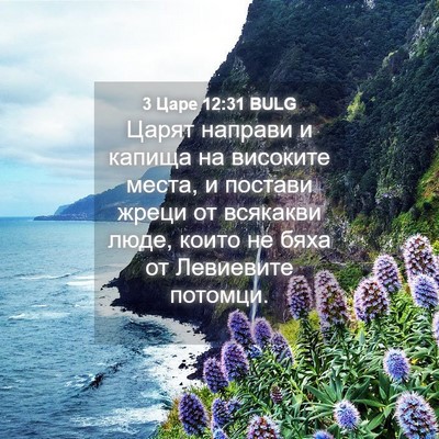 Picture 04 - 3 Царе 12:31 BULG - Царят направи и капища на - Bible Verse Picture