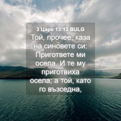 Picture 04 - 3 Царе 13:13 BULG - Той, прочее, каза на - Bible Verse Picture