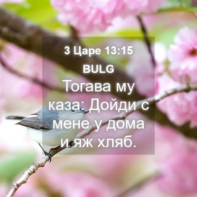 Picture 04 - 3 Царе 13:15 BULG - Тогава му каза: Дойди с - Bible Verse Picture