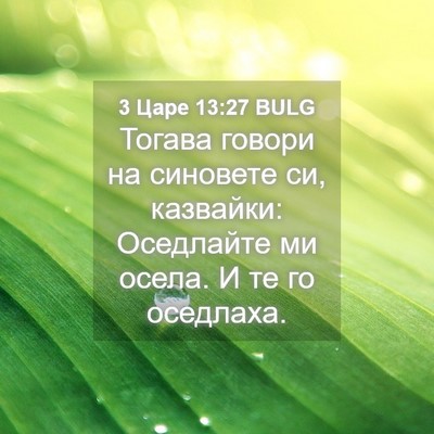 Picture 04 - 3 Царе 13:27 BULG - Тогава говори на синовете - Bible Verse Picture