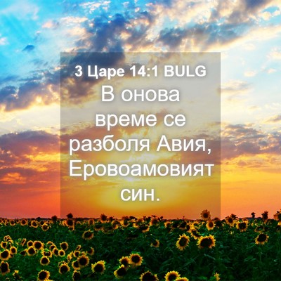 Picture 04 - 3 Царе 14:1 BULG - В онова време се разболя - Bible Verse Picture