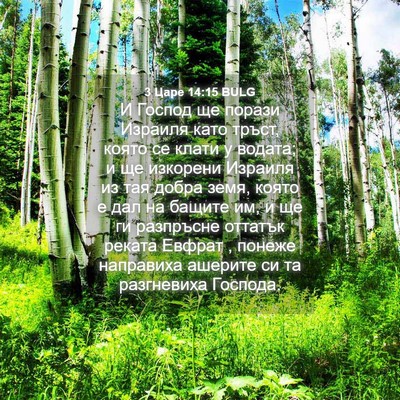 Picture 04 - 3 Царе 14:15 BULG - И Господ ще порази Израиля - Bible Verse Picture