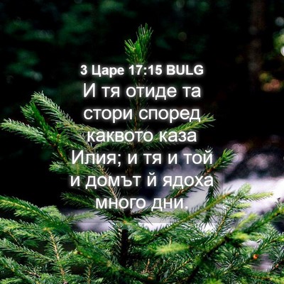 Picture 04 - 3 Царе 17:15 BULG - И тя отиде та стори според - Bible Verse Picture