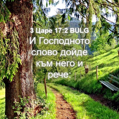 Picture 04 - 3 Царе 17:2 BULG - И Господното слово дойде - Bible Verse Picture