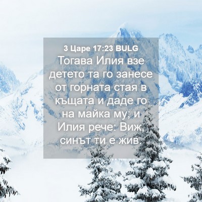 Picture 04 - 3 Царе 17:23 BULG - Тогава Илия взе детето та - Bible Verse Picture