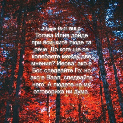 Picture 04 - 3 Царе 18:21 BULG - Тогава Илия дойде при - Bible Verse Picture