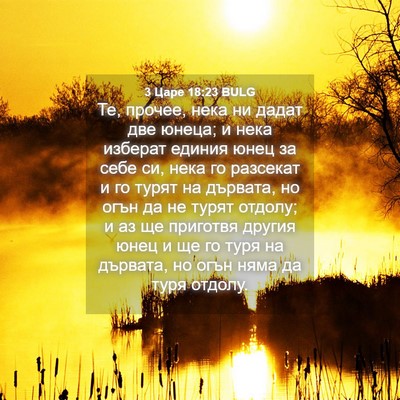 Picture 04 - 3 Царе 18:23 BULG - Те, прочее, нека ни дадат - Bible Verse Picture