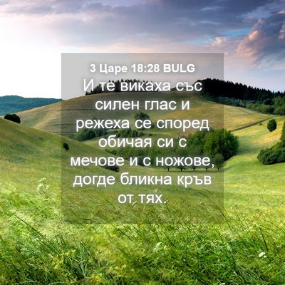 Picture 04 - 3 Царе 18:28 BULG - И те викаха със силен глас - Bible Verse Picture