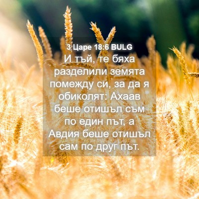 Picture 04 - 3 Царе 18:6 BULG - И тъй, те бяха разделили - Bible Verse Picture