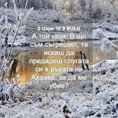 Picture 04 - 3 Царе 18:9 BULG - А той каза: В що съм - Bible Verse Picture