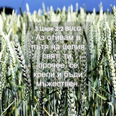 Picture 04 - 3 Царе 2:2 BULG - Аз отивам в пътя на целия - Bible Verse Picture