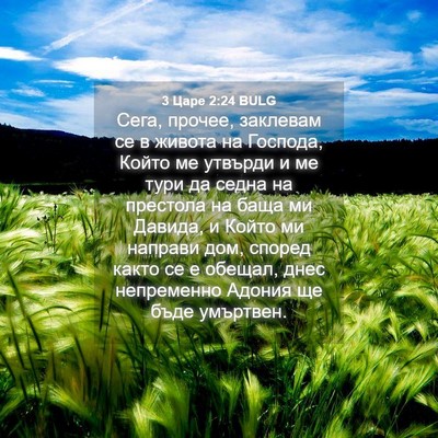 Picture 04 - 3 Царе 2:24 BULG - Сега, прочее, заклевам се в - Bible Verse Picture