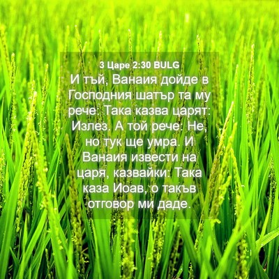 Picture 04 - 3 Царе 2:30 BULG - И тъй, Ванаия дойде в - Bible Verse Picture