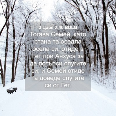 Picture 04 - 3 Царе 2:40 BULG - Тогава Семей, като стана та - Bible Verse Picture