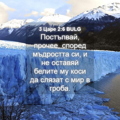 Picture 04 - 3 Царе 2:6 BULG - Постъпвай, прочее, според - Bible Verse Picture