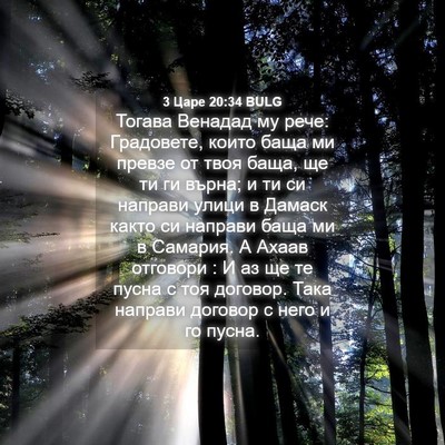 Picture 04 - 3 Царе 20:34 BULG - Тогава Венадад му рече: - Bible Verse Picture