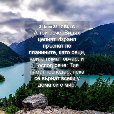 Picture 04 - 3 Царе 22:17 BULG - А той рече: Видях целият - Bible Verse Picture