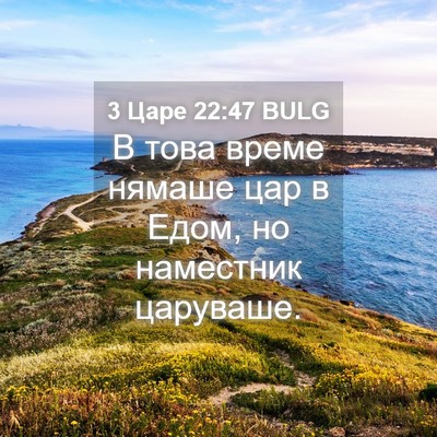 Picture 04 - 3 Царе 22:47 BULG - В това време нямаше цар в - Bible Verse Picture