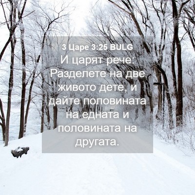 Picture 04 - 3 Царе 3:25 BULG - И царят рече: Разделете на - Bible Verse Picture