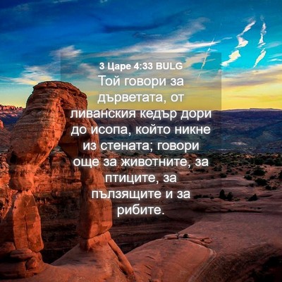 Picture 04 - 3 Царе 4:33 BULG - Той говори за дърветата, от - Bible Verse Picture