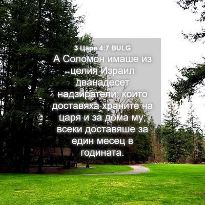 Picture 04 - 3 Царе 4:7 BULG - А Соломон имаше из целия - Bible Verse Picture