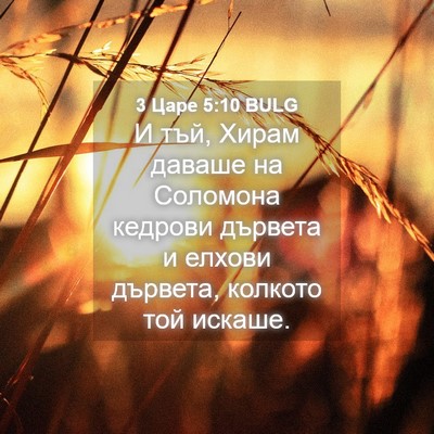 Picture 04 - 3 Царе 5:10 BULG - И тъй, Хирам даваше на - Bible Verse Picture