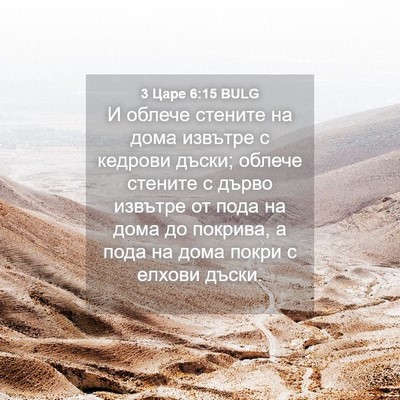 Picture 04 - 3 Царе 6:15 BULG - И облече стените на дома - Bible Verse Picture
