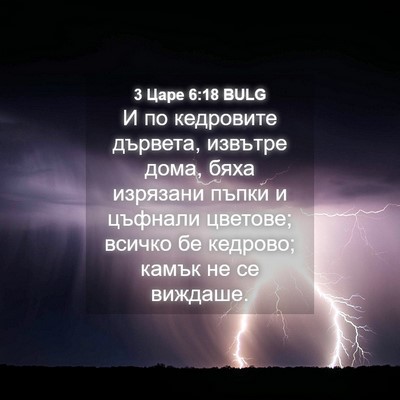 Picture 04 - 3 Царе 6:18 BULG - И по кедровите дървета, - Bible Verse Picture