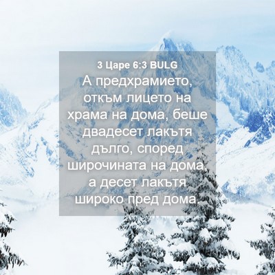 Picture 04 - 3 Царе 6:3 BULG - А предхрамието, откъм - Bible Verse Picture