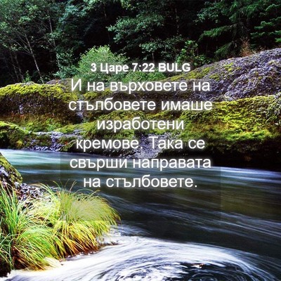 Picture 04 - 3 Царе 7:22 BULG - И на върховете на - Bible Verse Picture