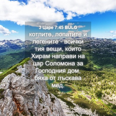 Picture 04 - 3 Царе 7:45 BULG - котлите, лопатите и - Bible Verse Picture