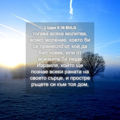 Picture 04 - 3 Царе 8:38 BULG - тогава всяка молитва, - Bible Verse Picture