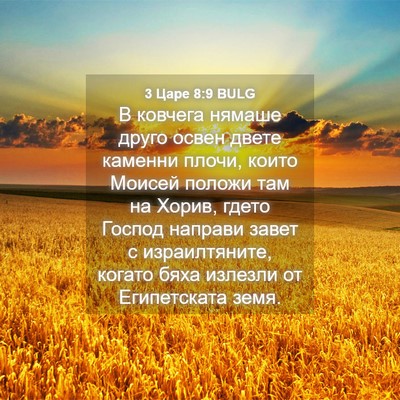 Picture 04 - 3 Царе 8:9 BULG - В ковчега нямаше друго - Bible Verse Picture