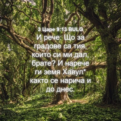 Picture 04 - 3 Царе 9:13 BULG - И рече: Що за градове са - Bible Verse Picture