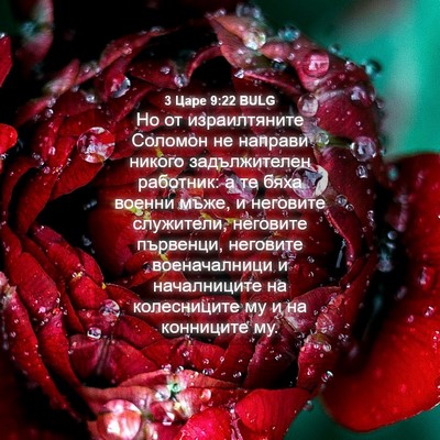 Picture 04 - 3 Царе 9:22 BULG - Но от израилтяните Соломон - Bible Verse Picture