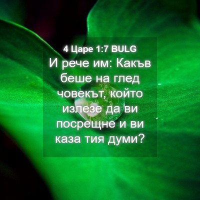 Picture 04 - 4 Царе 1:7 BULG - И рече им: Какъв беше на - Bible Verse Picture