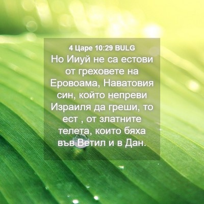 Picture 04 - 4 Царе 10:29 BULG - Но Ииуй не са естови от - Bible Verse Picture