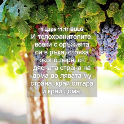Picture 04 - 4 Царе 11:11 BULG - И телохранителите, всеки с - Bible Verse Picture