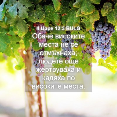 Picture 04 - 4 Царе 12:3 BULG - Обаче високите места не се - Bible Verse Picture
