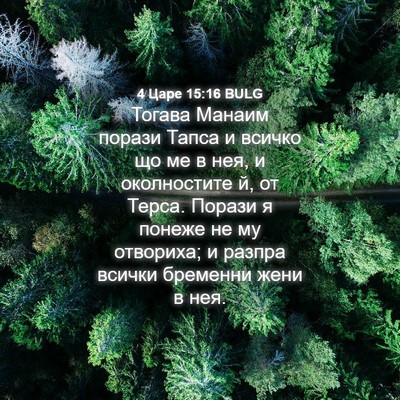 Picture 04 - 4 Царе 15:16 BULG - Тогава Манаим порази Тапса - Bible Verse Picture
