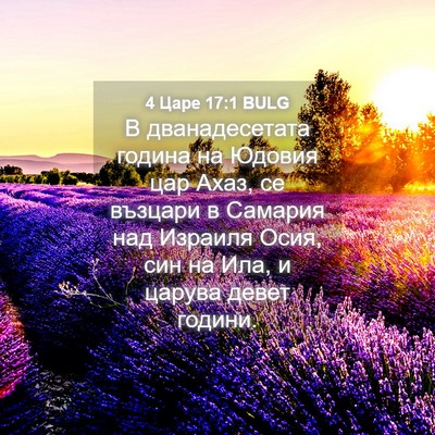 Picture 04 - 4 Царе 17:1 BULG - В дванадесетата година на - Bible Verse Picture