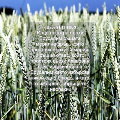 Picture 04 - 4 Царе 21:13 BULG - И ще простра върху - Bible Verse Picture