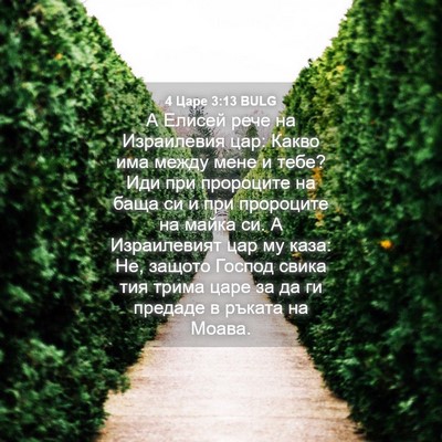 Picture 04 - 4 Царе 3:13 BULG - А Елисей рече на - Bible Verse Picture