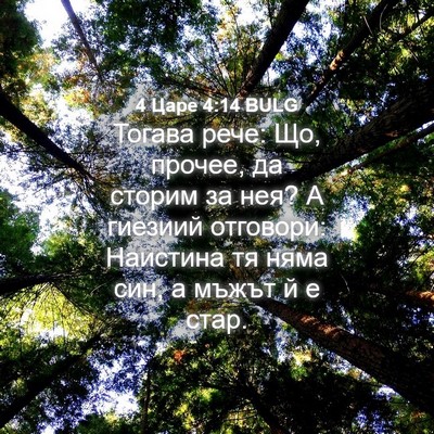 Picture 04 - 4 Царе 4:14 BULG - Тогава рече: Що, прочее, да - Bible Verse Picture